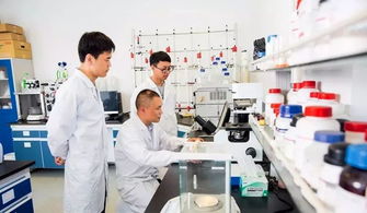 中國制造業(yè)第一縣聚力互聯(lián)網(wǎng)銷售轉(zhuǎn)型，新華日報(bào)頭版頭條聚焦產(chǎn)業(yè)升級新篇章