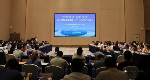 對(duì)接RCEP新機(jī)遇，共謀貿(mào)易物流新篇章——中國國際貨運(yùn)代理協(xié)會(huì)考察團(tuán)赴我市開展產(chǎn)業(yè)合作對(duì)接